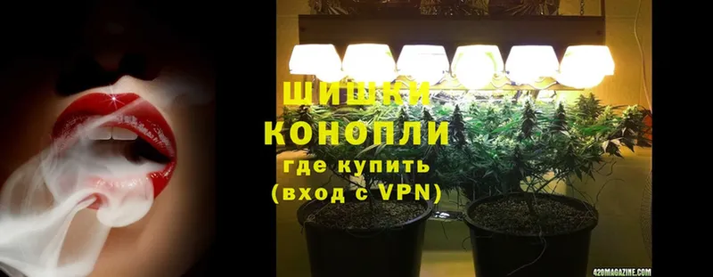 Где купить наркотики Торжок Экстази  МДМА  ГАШ  A PVP  Мефедрон  Канабис  Cocaine  Псилоцибиновые грибы 